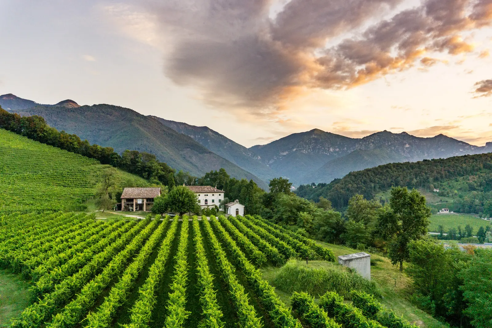 Azienda Vinicola Luigi Gregoletto