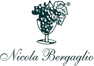 Nicola Bergaglio